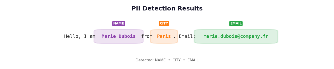 PII detection example output